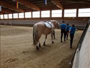 voltitag 2009 _CD2 031